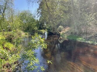 TOP-Campingplatz in Thüringen zu verkaufen - Vollexistenz