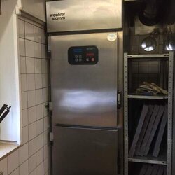 Schockfroster Wachtel Stamm