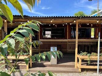 Zwei Gastro Barcontainer + 1 Kühlcontainer  - 3 x 20 Fuss