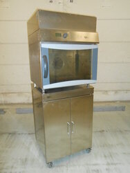 Ladenbackofen Wiesheu B5