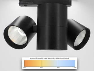Tunable White Doppelstrahler Chamäleon XP 88 – schwarz Pulverlack