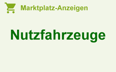 Nutzfahrzeuge für Handwerk & Industrie