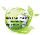 BIG Real Estate