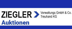 Ziegler Verwaltung GmbH & Co Treuhand KG